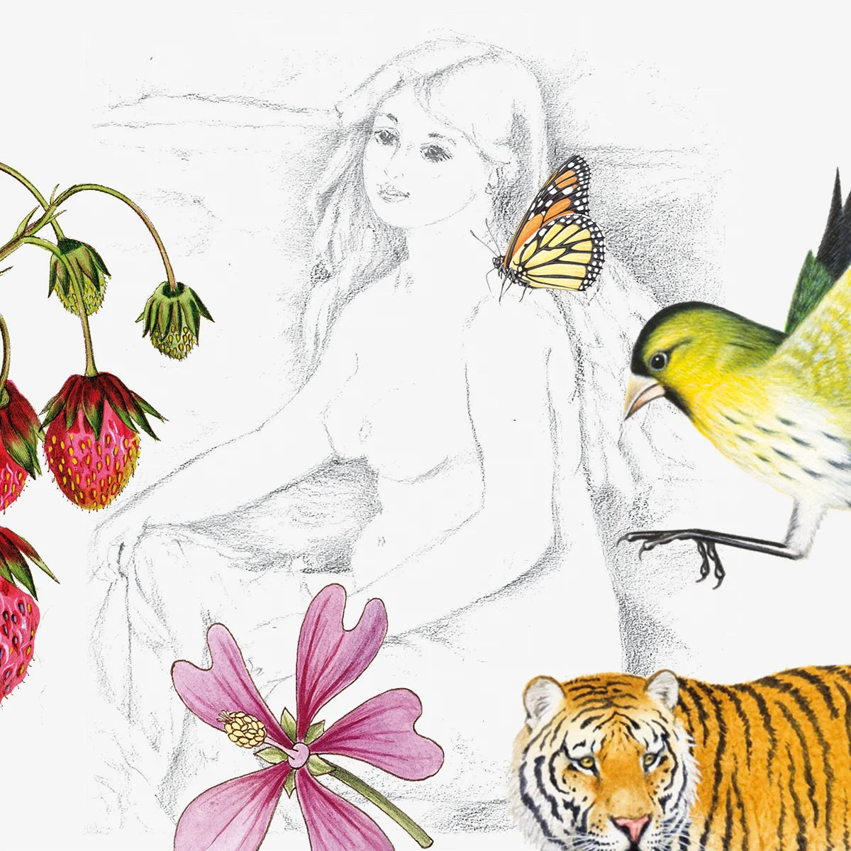 Illustration i mjuka färger med en skiss av en kvinna, en fjäril, en fågel, en tiger, jordgubbar och blommor som symboliserar naturliga ingredienser relaterade till Authentic Nourishing Oil.